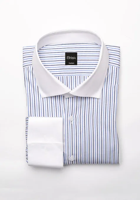 Black & Blue Pencil Stripes Shirt - White Cut Away Classic Collar