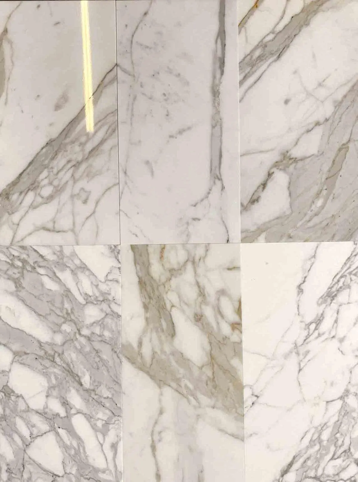 Calacatta Gold 12X24 Polished Marble Tile