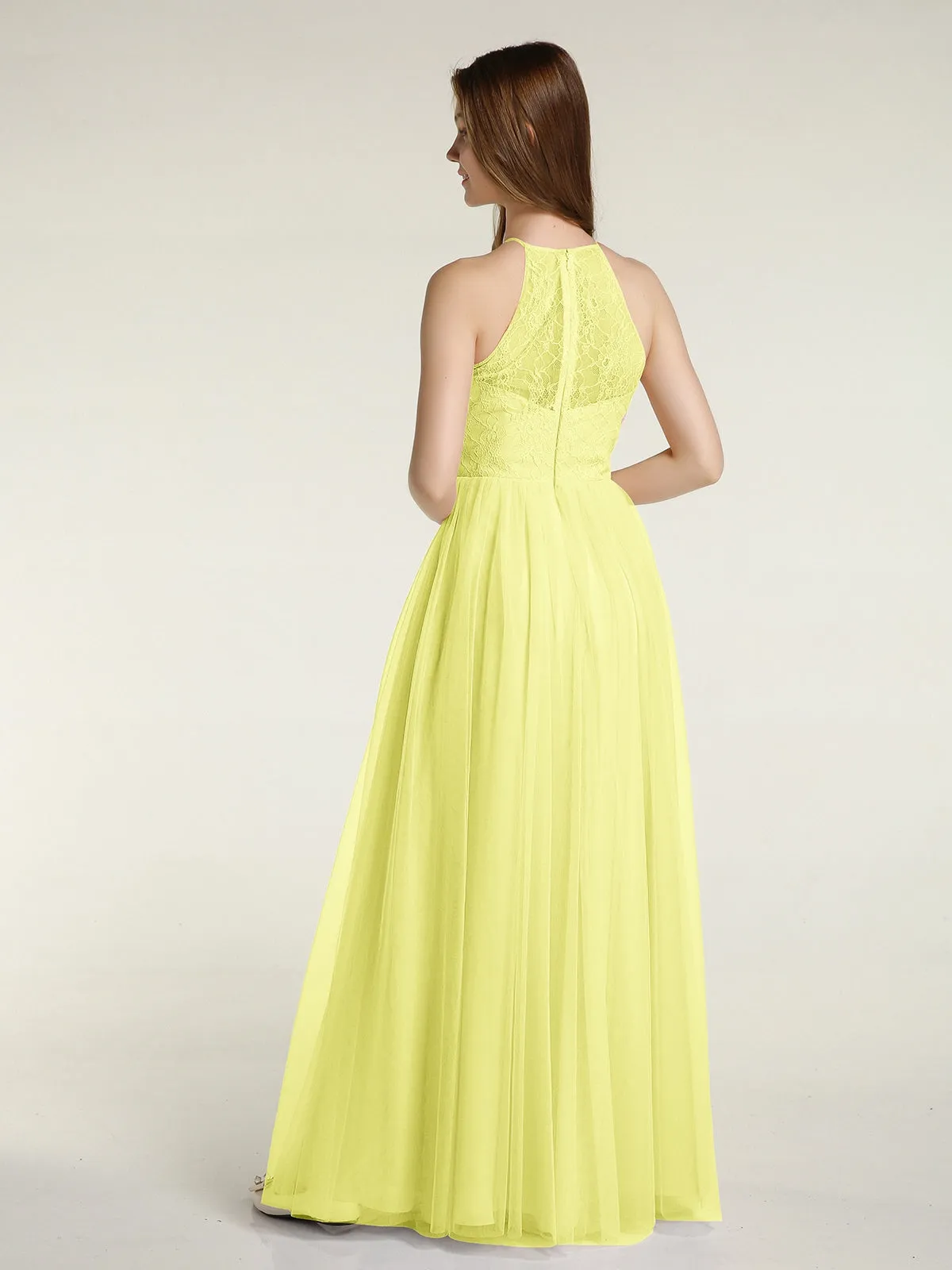 Lace Bodice and Tulle Skirt Long Dresses-Daffodil Plus Size