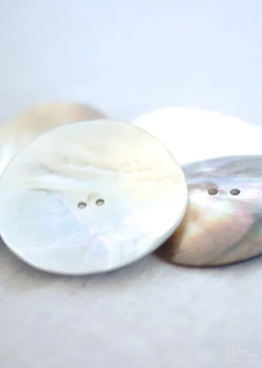 Shell Buttons - Natural, Large, 50mm